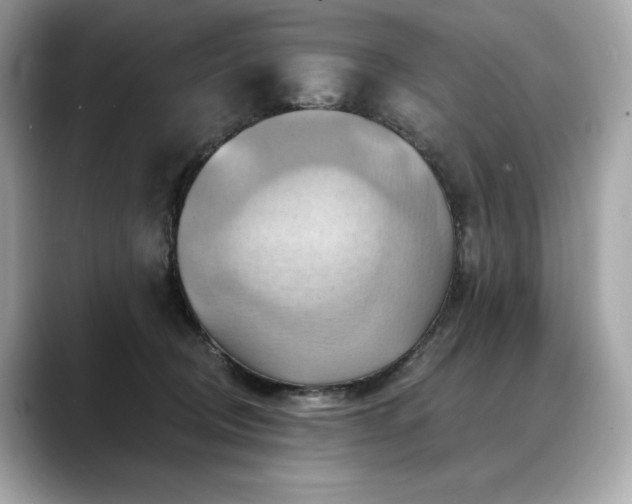 X0000088690370200705311201