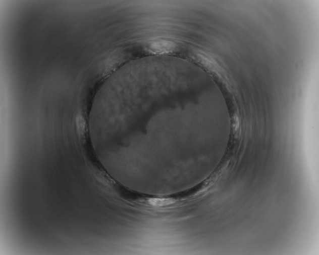 X0000088690371200705311201