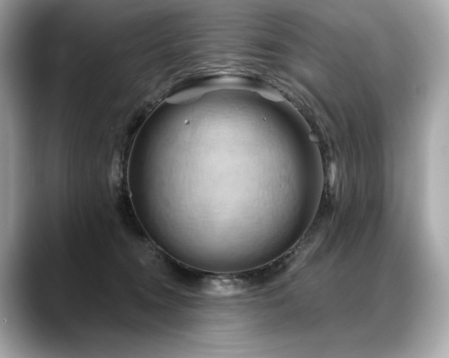 X0000088690372200705311201