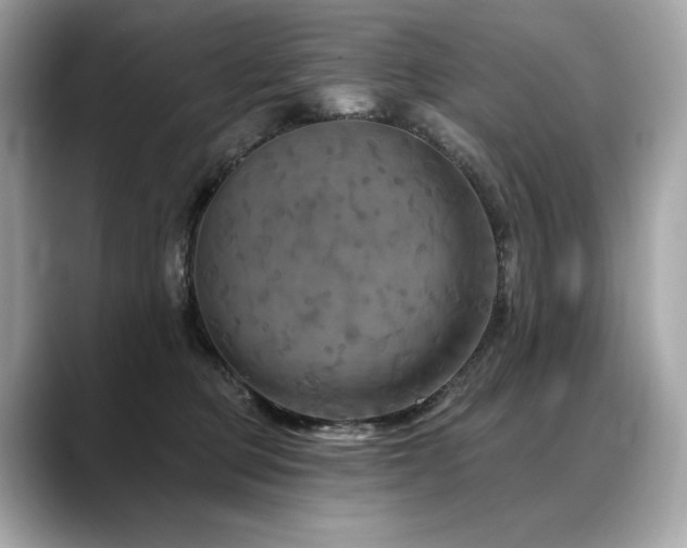 X0000088690373200705311201