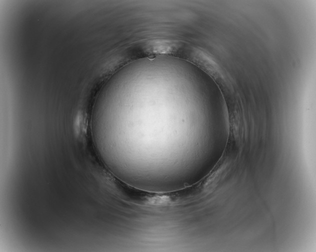 X0000088690374200705311201