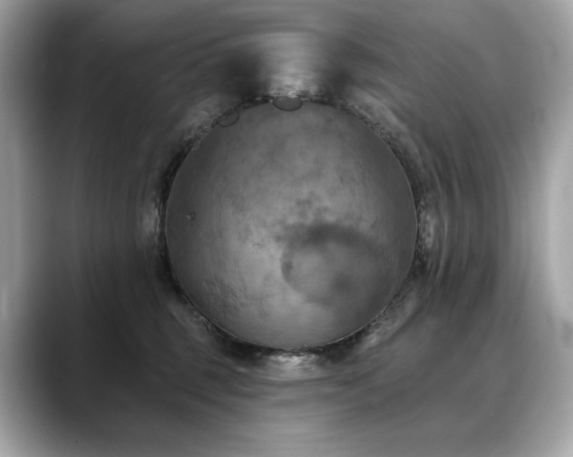 X0000088690375200705311201