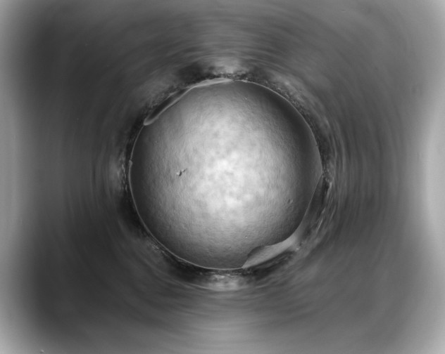 X0000088690376200705311201