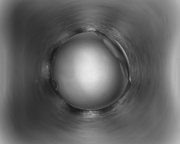 X0000088690378200705311201