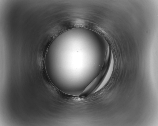 X0000088690379200705311201