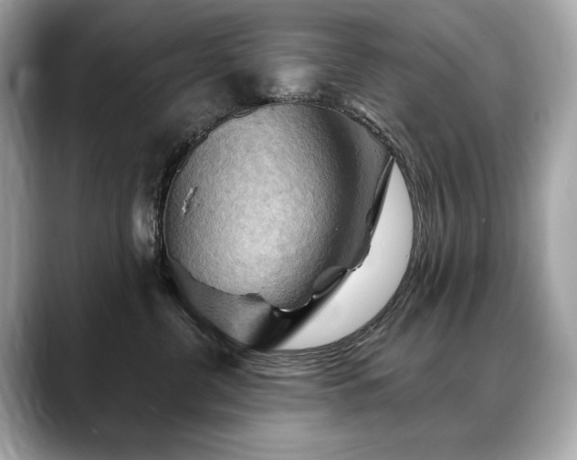 X0000088690380200705311201