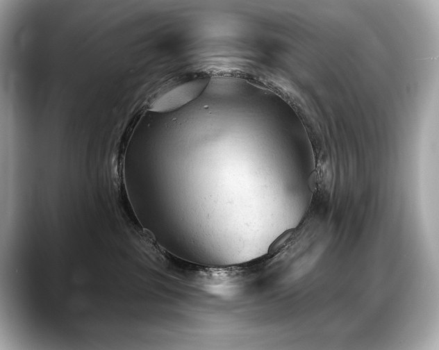 X0000088690381200705311201