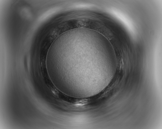 X0000088690382200705311201