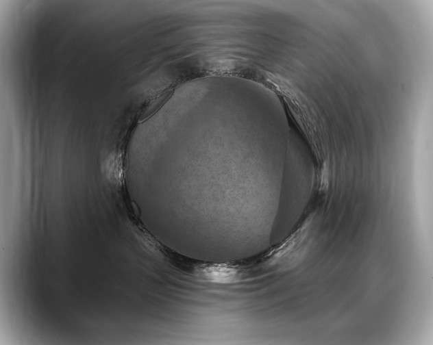 X0000088690383200705311201