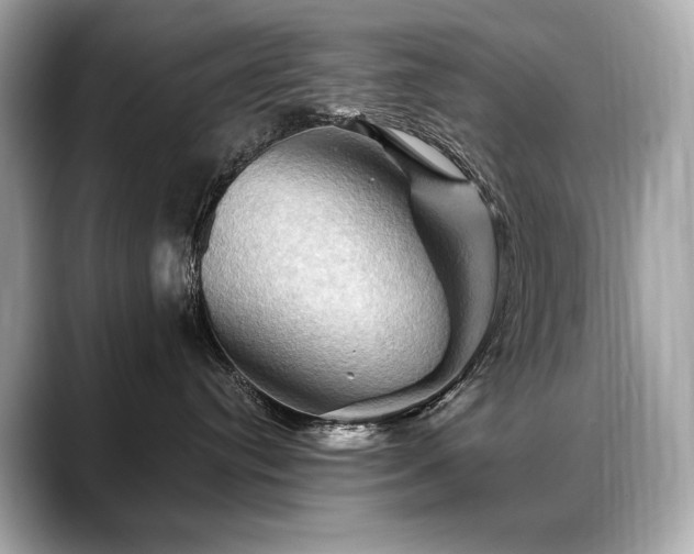 X0000088690384200705311201