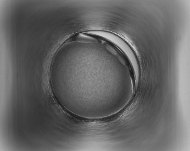 X0000088690385200705311200