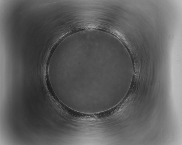 X0000088690386200705311200