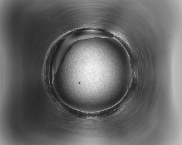 X0000088690388200705311200
