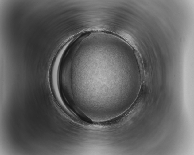 X0000088690389200705311200