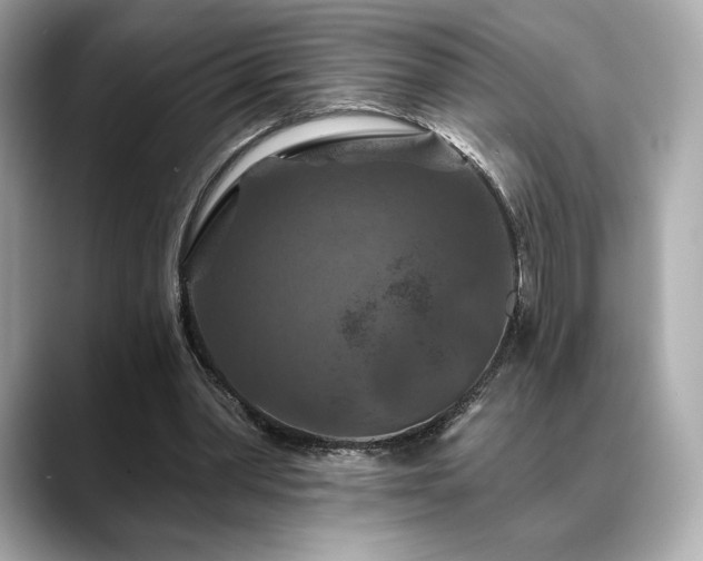 X0000088690390200705311200