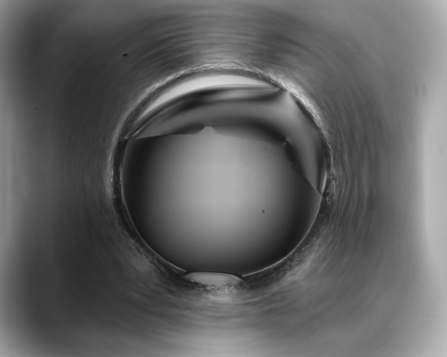X0000088690391200705311200