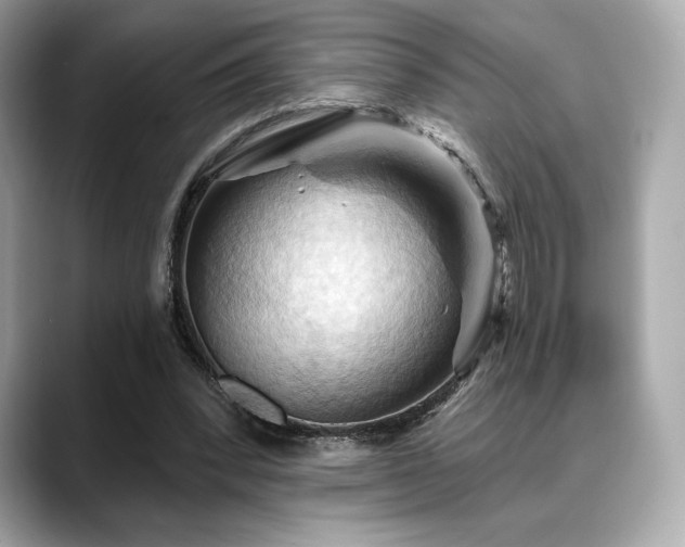 X0000088690392200705311200