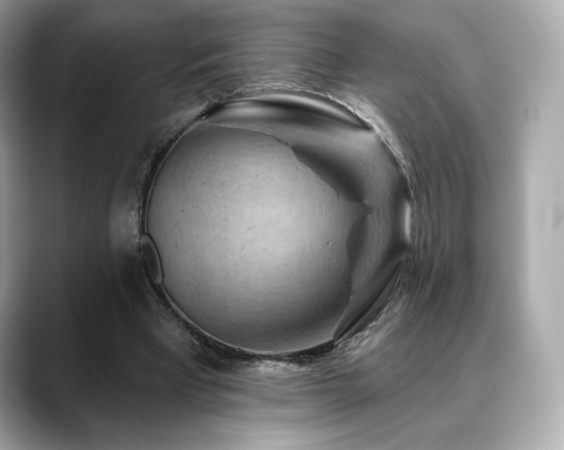 X0000088690393200705311200