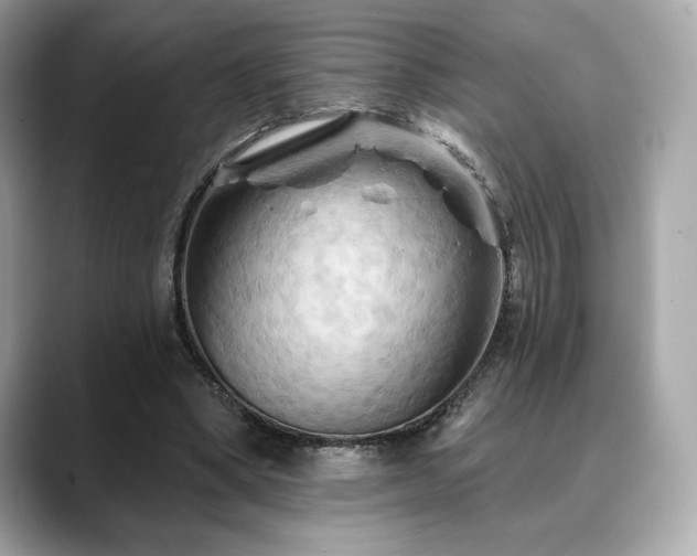 X0000088690394200705311200