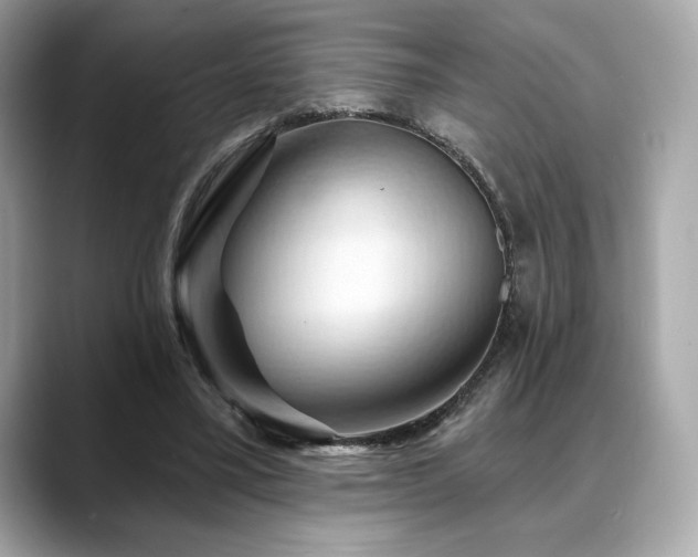 X0000088690395200705311200