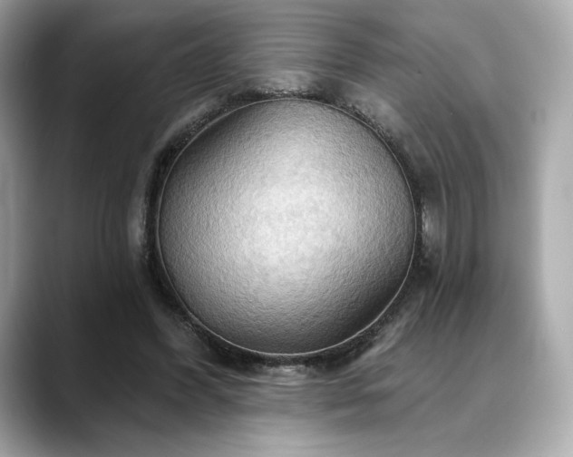 X0000088690396200705311200