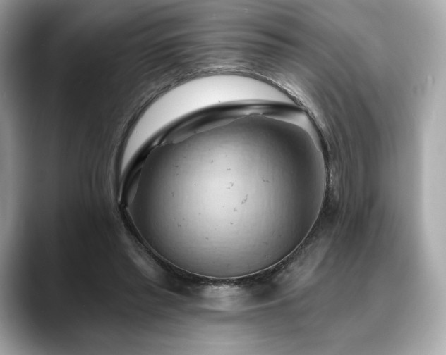 X0000088690397200705311200