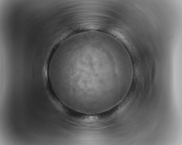 X0000088690398200705311200