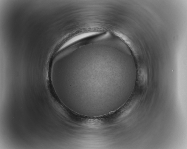 X0000088690399200705311200