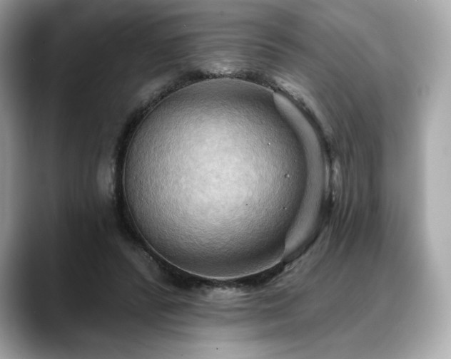 X0000088690400200705311200