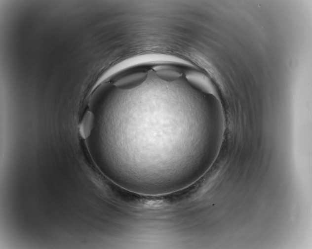 X0000088690401200705311200