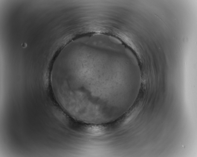 X0000088690402200705311200