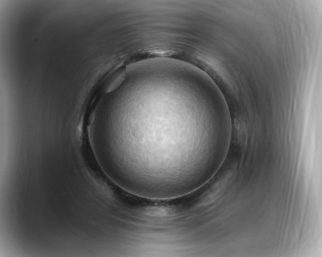 X0000088690404200705311200