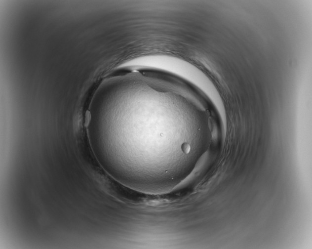 X0000088690407200705311200