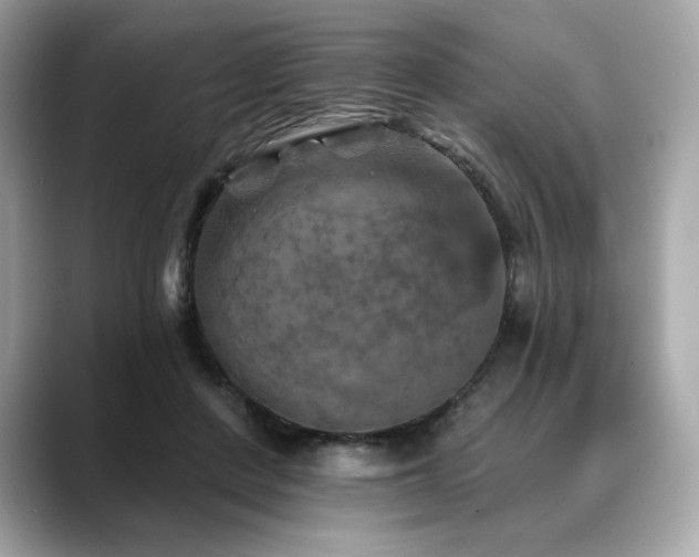 X0000088690408200705311200