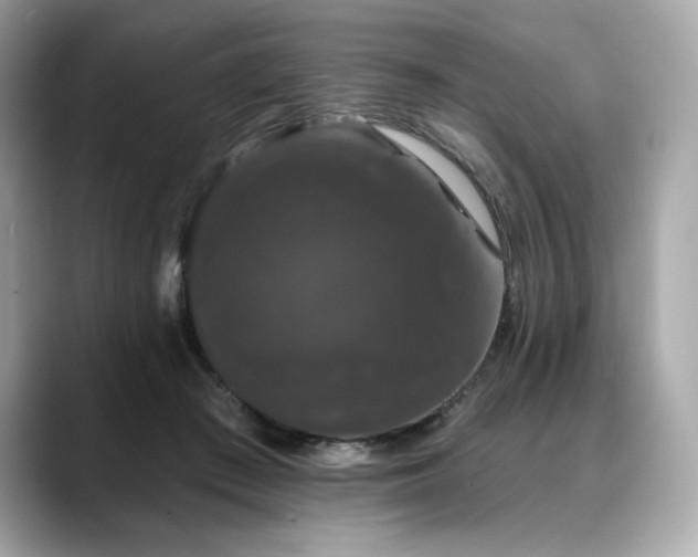 X0000088690409200705311200