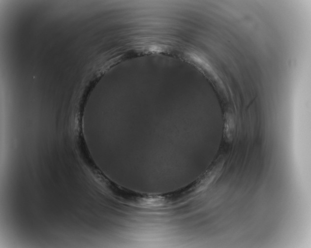 X0000088690410200705311200