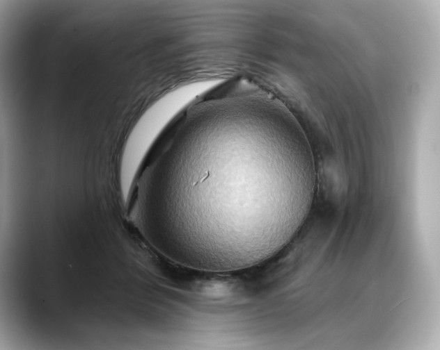 X0000088690412200705311200