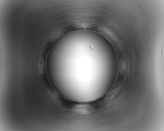 X0000088690414200705311200