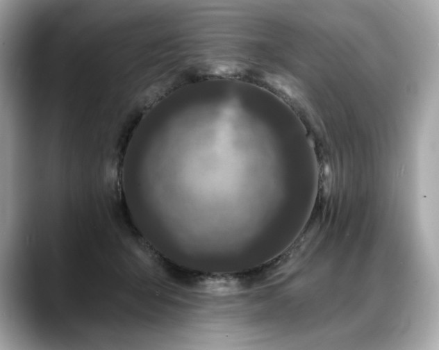 X0000088690415200705311200