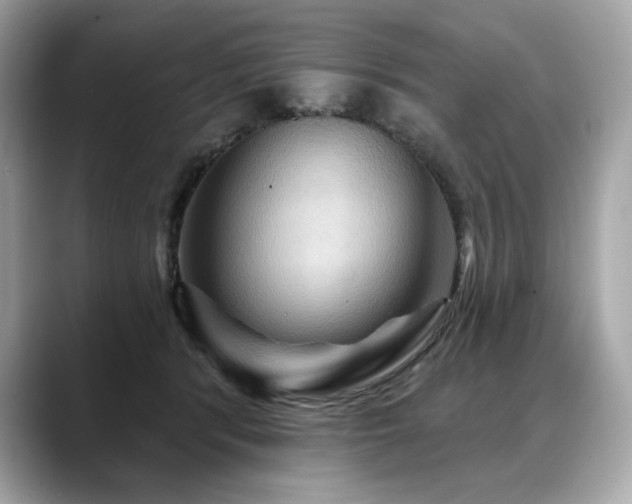 X0000088690416200705311200