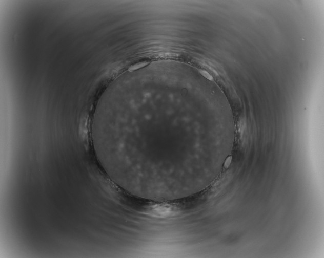 X0000088690423200705311200