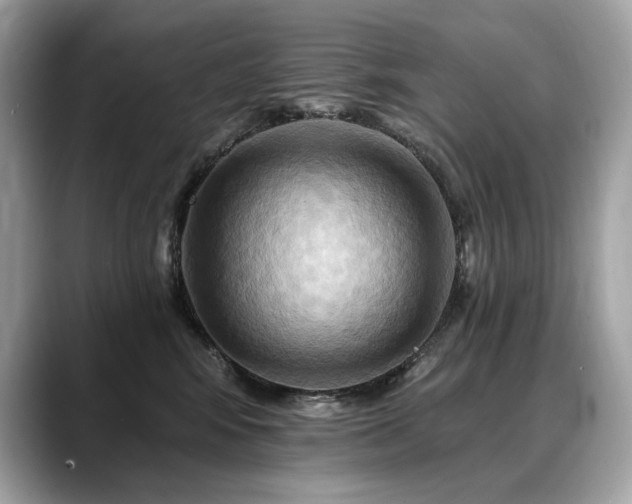 X0000088690424200705311200
