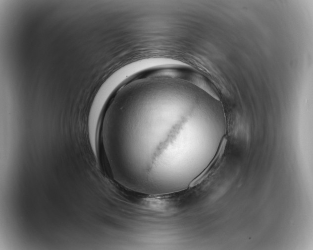 X0000088690425200705311200