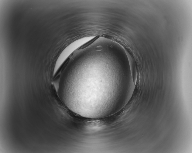 X0000088690428200705311200