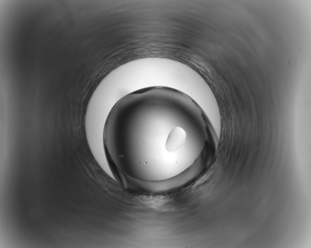 X0000088690429200705311200