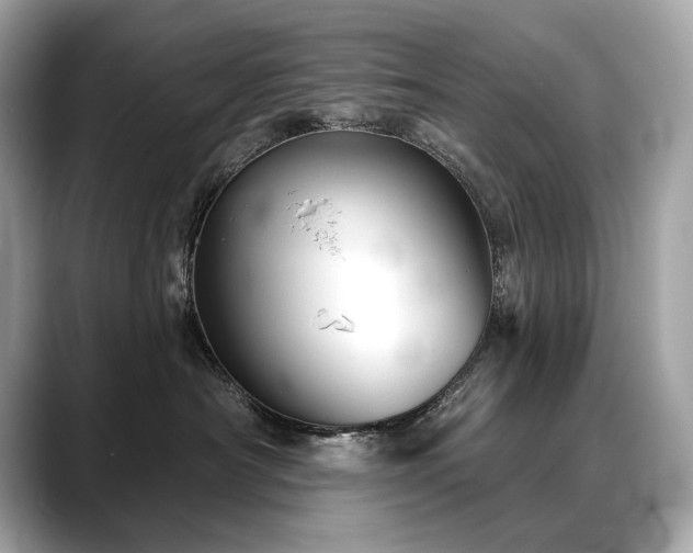 X0000088690430200705311200