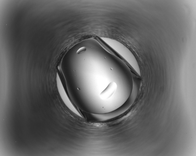 X0000088690432200705311200