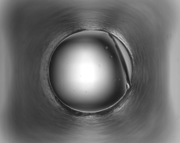 X0000088690433200705311159