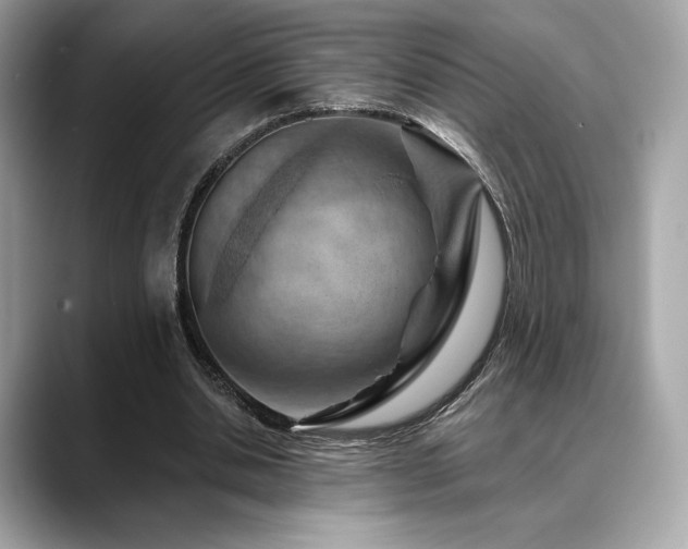 X0000088690438200705311159