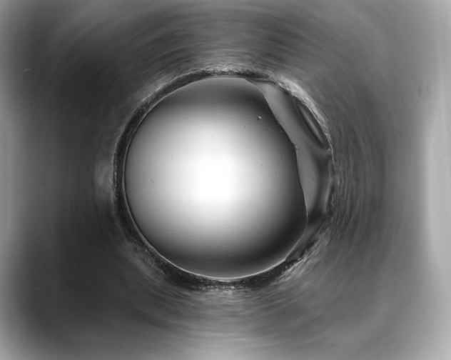 X0000088690439200705311159